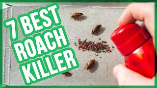 Best Roach Killers in 2020 Top 7 Roach Bait 💦 👍🏻 💡 [upl. by Nylsor]