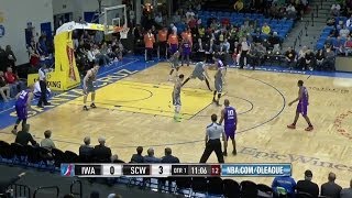 Glen Rice Scores 29 points vs Santa Cruz Warriors [upl. by Morita546]