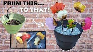 Thrift Flip  DIY Garden Decor  DIY Home Decor [upl. by Nalro]