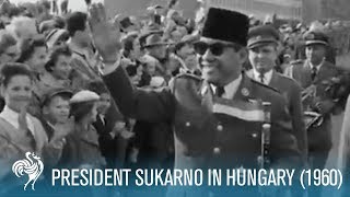 President Sukarno of Indonesia in Hungary 1960  British Pathé [upl. by Belva941]