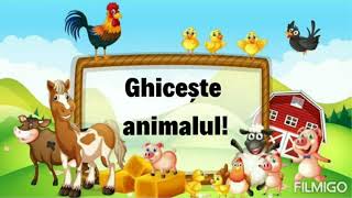 quotGhicește animalulquot  animale domestice [upl. by Zertnom]