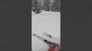 INSANE FOREST 🌳 POWDER SKIING WITH ATOMIC BENT CHETLER 120 [upl. by Ynahteb]