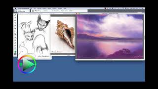 Introduction to the Painter Essentials 6 User Interface [upl. by Nangatrad]