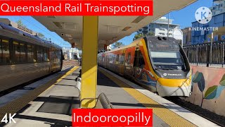 Queensland Rail Trainspotting  Indooroopilly [upl. by Niliak914]