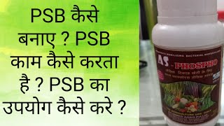 PSB culture PHOSPHORUS SOLUBILIZING BACTERIA KAISE BANAYEPSB kaise use kare  benifit ofPSB [upl. by Ecirtnas251]