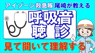 【テスト付き】聴診ができるようになる。覚えるべき呼吸音５つ！ [upl. by Akyeluz]