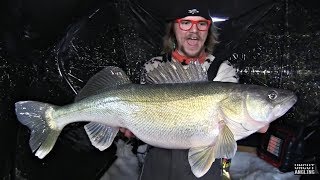 TOP 5 BIGGEST WALLEYES CAUGHT ICE FISHING compilation [upl. by Samtsirhc582]