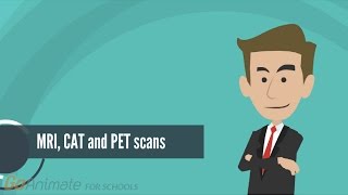 How do MRI PET and CAT scans work [upl. by Uyekawa]