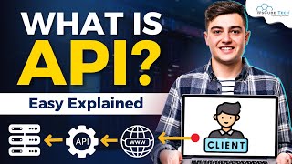 What is API and How does it Work  Application Programming Interface Fully Explained [upl. by Alyks]