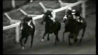 Nijinsky  Irish Sweeps Derby 1970 [upl. by Eiralih499]