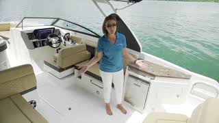 SDX 290 Outboard  Product Walkthrough  Sea Ray Boats [upl. by Obidiah638]