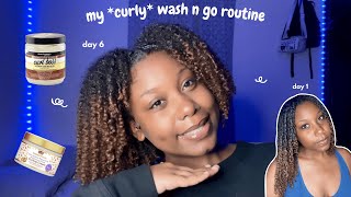 my 2025 curly wash n go routine  type 4b hair products styling [upl. by Sualokcin]