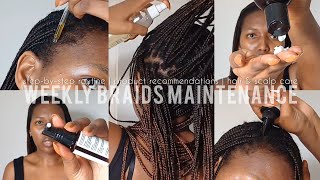 HOW TO KEEP YOUR BRAIDS FRESH  weekly braids maintenance routine stepbystep  scalp care [upl. by Eilarol]