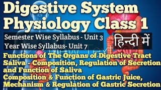 DIGESTIVE SYSTEM  PART 1  PHYSIOLOGY Bsc Nursing GnmAnm [upl. by Notyard]