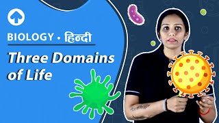 Three Domains of Life  Hindi  Biology [upl. by Caren]