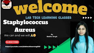 staphylococcus Aureus morphologyvirulence factor pathogenesisdiagnosisdetailsmltmicrobiology [upl. by Ruby]