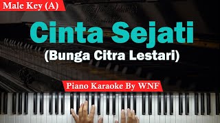 BCL  Cinta Sejati Karaoke Piano Male KeyPria [upl. by Baxter]