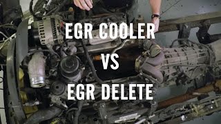 EGR Delete or EGR Cooler [upl. by Andert]