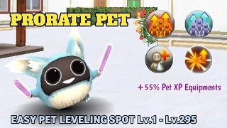 Toram Online  Full Guide to Develop Prorate Support Pet amp Easy Pet Leveling Spot Lv1  Lv295 [upl. by Madra]