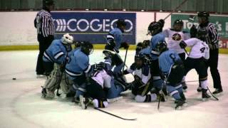 Hockey Fight  Peewee [upl. by Orsa]