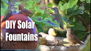 Ideas How to Attract Birds to Garden Solar Powered Water Fountain Setup DIY Bird Bath amp Hummingbirds [upl. by Nyad]