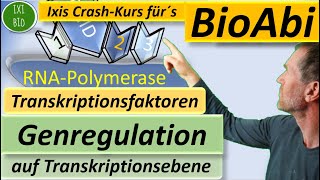 Transkriptionsfaktoren  Genregulation auf Transkriptionsebene detailliert erklärt  BioAbi 15Punkte [upl. by Polinski578]