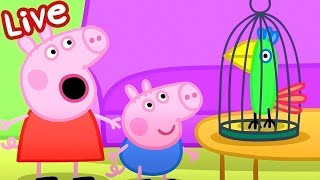 🔴 PEPPA PIG LIVESTREAM 🐷 ALL SEASONS  Full Episodes  Cartoons for Kids [upl. by Aillicec]