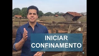 COMO INICIAR UM CONFINAMENTO EM PEQUENAS PROPRIEDADES [upl. by Nylavad558]