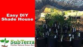 Quick Easy and Inexpensive DIY Shade House for Plants [upl. by Evalyn]