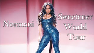 Normani  Live At The Sweetener World Tour  Filmed By You [upl. by Olyhs]