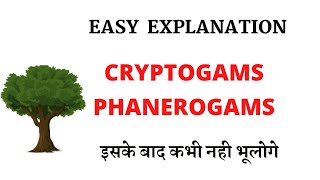 Cryptogams And Phanerogams Easy Explaination [upl. by Amahcen]