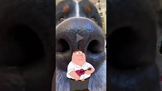 PEeTa is back shorts funny comedy viral views like subscribe dog familyguy [upl. by Lorelle]