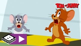 Tom amp Jerry  Fight Flight  Boomerang UK [upl. by Siegfried]