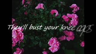 Pomplamoose  Bust Your Kneecaps  Lyrics [upl. by Zysk59]