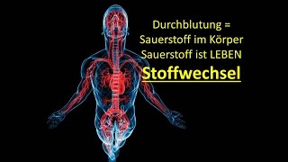 Wie funktioniert der Stoffwechsel  Einfach erklärt [upl. by Onaimad]