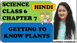 Getting to know plants Class 6 Science chapter 7 in Hindi [upl. by Boehmer301]