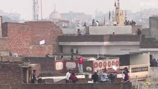 Basant in Bathinda 2023  Kite flying [upl. by Golub]