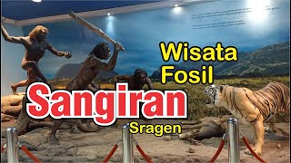 Museum Fosil Sangiran sangiran [upl. by Schaffer550]