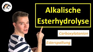 Alkalische EsterhydrolyseVerseifung  Chemie Tutorial [upl. by Airrej]