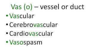 Medical terms 9 Cardiovascular blood vessels [upl. by Phip]