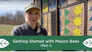 Getting Started with Mason Bees  Part 1 [upl. by Schaper420]