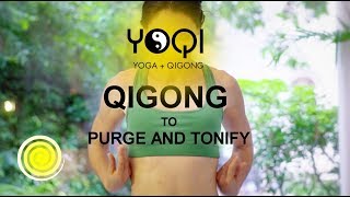 Yogis Treasure Hunt IntroOutro [upl. by Ahael]