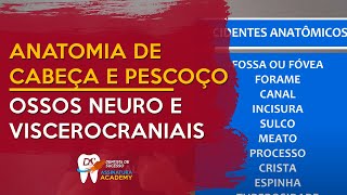 Ossos Neurocraniais e Víscerocraniais  OSTEOLOGIA DE CABEÇA E PESCOÇO [upl. by Tait624]