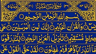 Surah Yaseen Surah Rahman  Surah Yasin Tilawat  Best Quran Recitation  With Arabic text HD [upl. by Raseda]