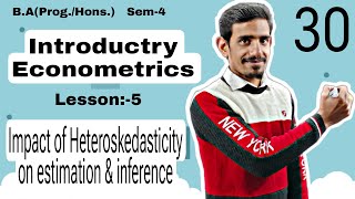 30 Impact of Heteroskedasticity on estimation amp Inference  Introductory or Basic Econometrics  Du [upl. by Anitnoc915]