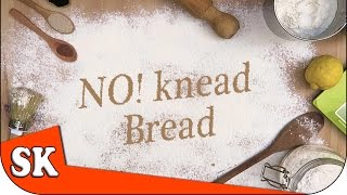 HOW TO MAKE NO KNEAD BREAD  Introduction to Bread Making [upl. by Yacano]