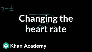 Changing the heart rate  chronotropic effect  NCLEXRN  Khan Academy [upl. by Atikel]