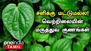 வெற்றிலை மருத்துவ குணங்கள்  சளிக்கு மட்டுமல்ல  Vetrilai Health Benefits in Tamil  Oneindia Tamil [upl. by Anuat447]