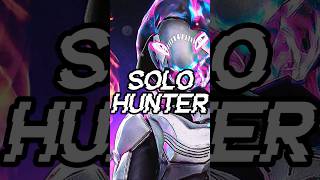 Do Hunters Have the Hardest Solo Damage [upl. by Emmuela]