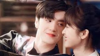 CEO falls in love with his employee❤️New Korean Mix Hindi Songs❤️Chinese Love Story❤️ Teddy Dear [upl. by Lucy]